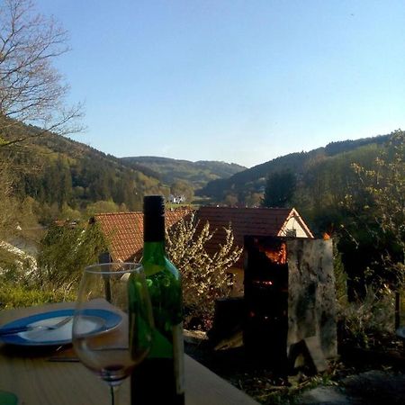 Fewo Pacohaus Naehe Willingen Diemelsee Брилон Екстериор снимка