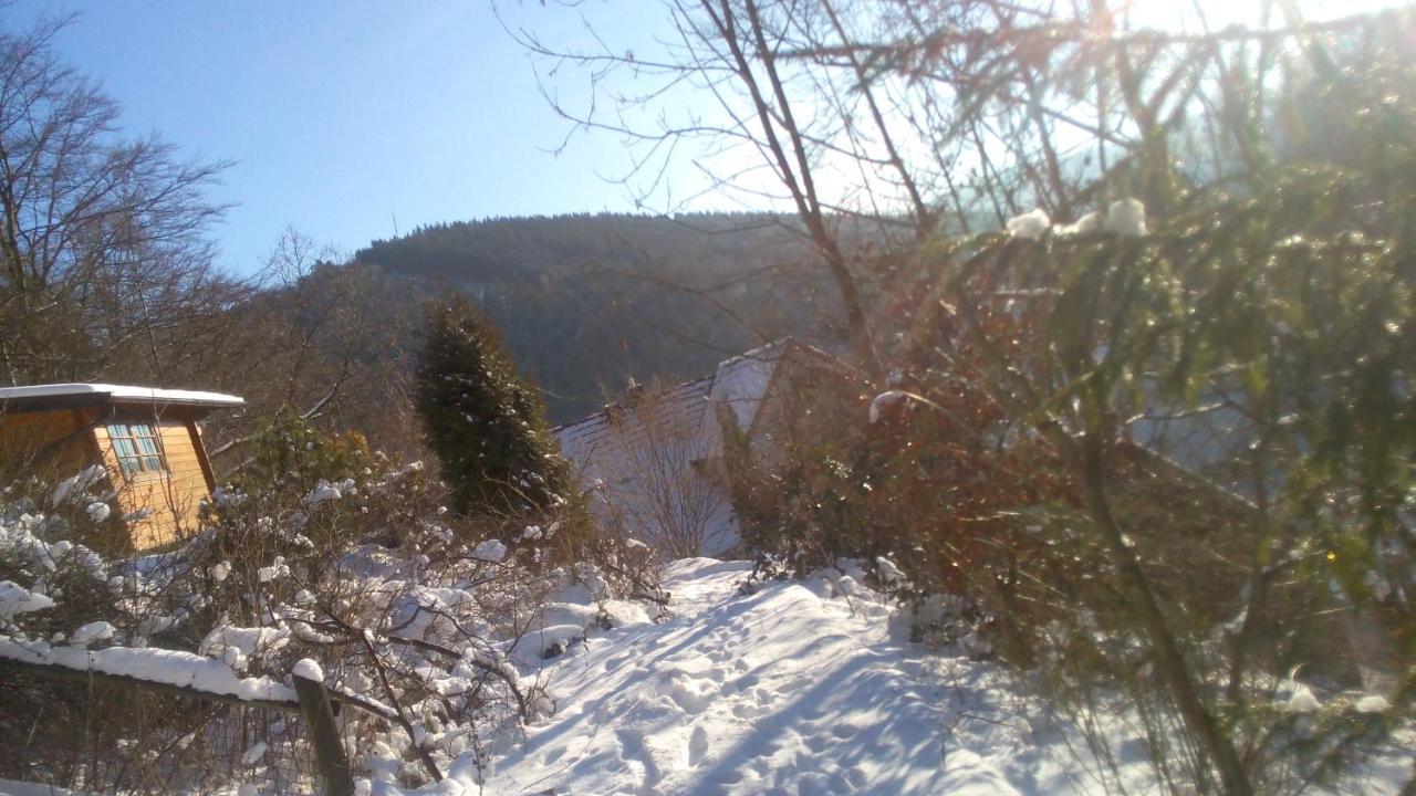 Fewo Pacohaus Naehe Willingen Diemelsee Брилон Екстериор снимка