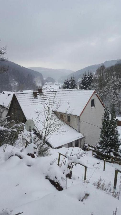 Fewo Pacohaus Naehe Willingen Diemelsee Брилон Екстериор снимка