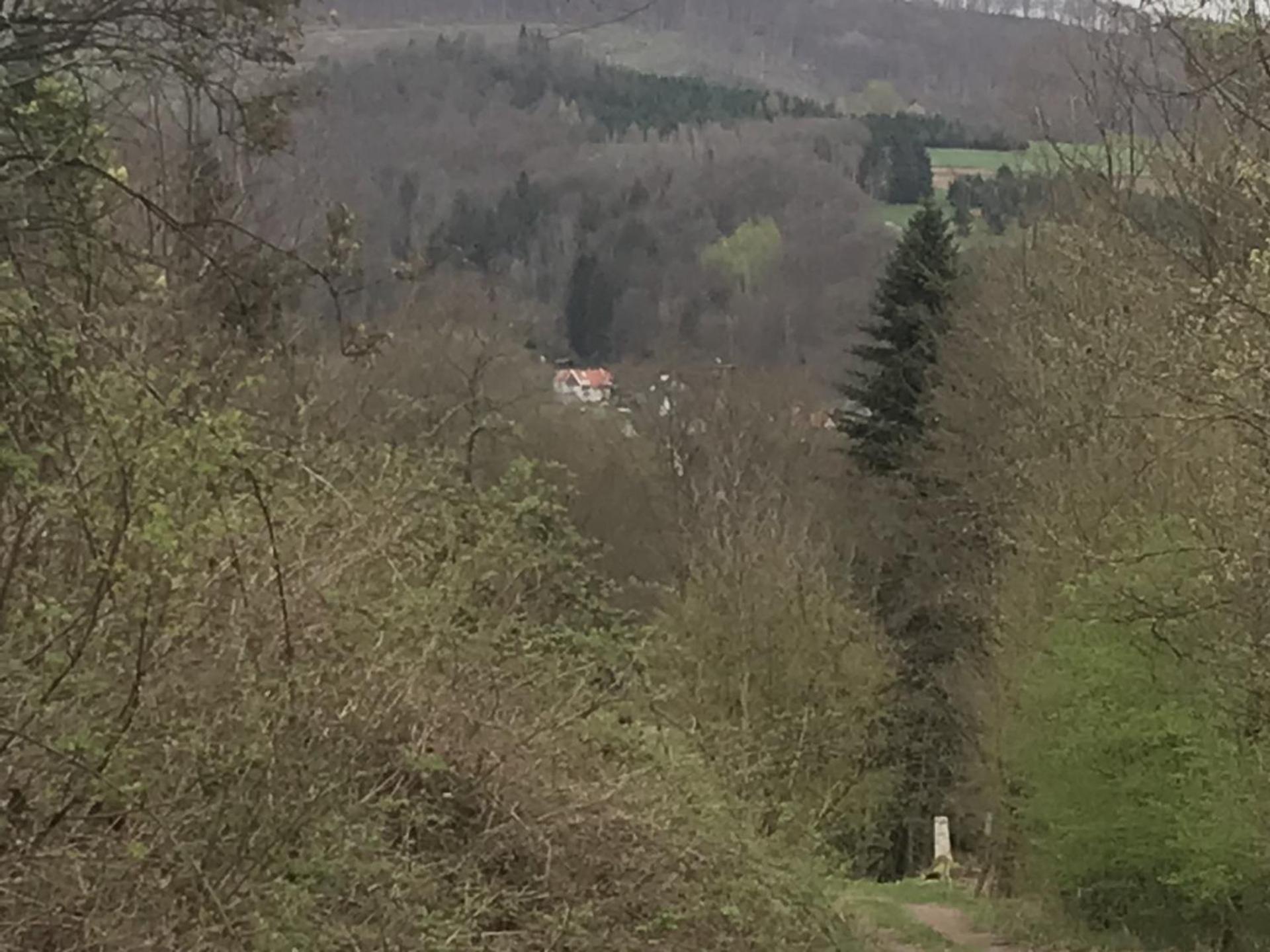 Fewo Pacohaus Naehe Willingen Diemelsee Брилон Екстериор снимка