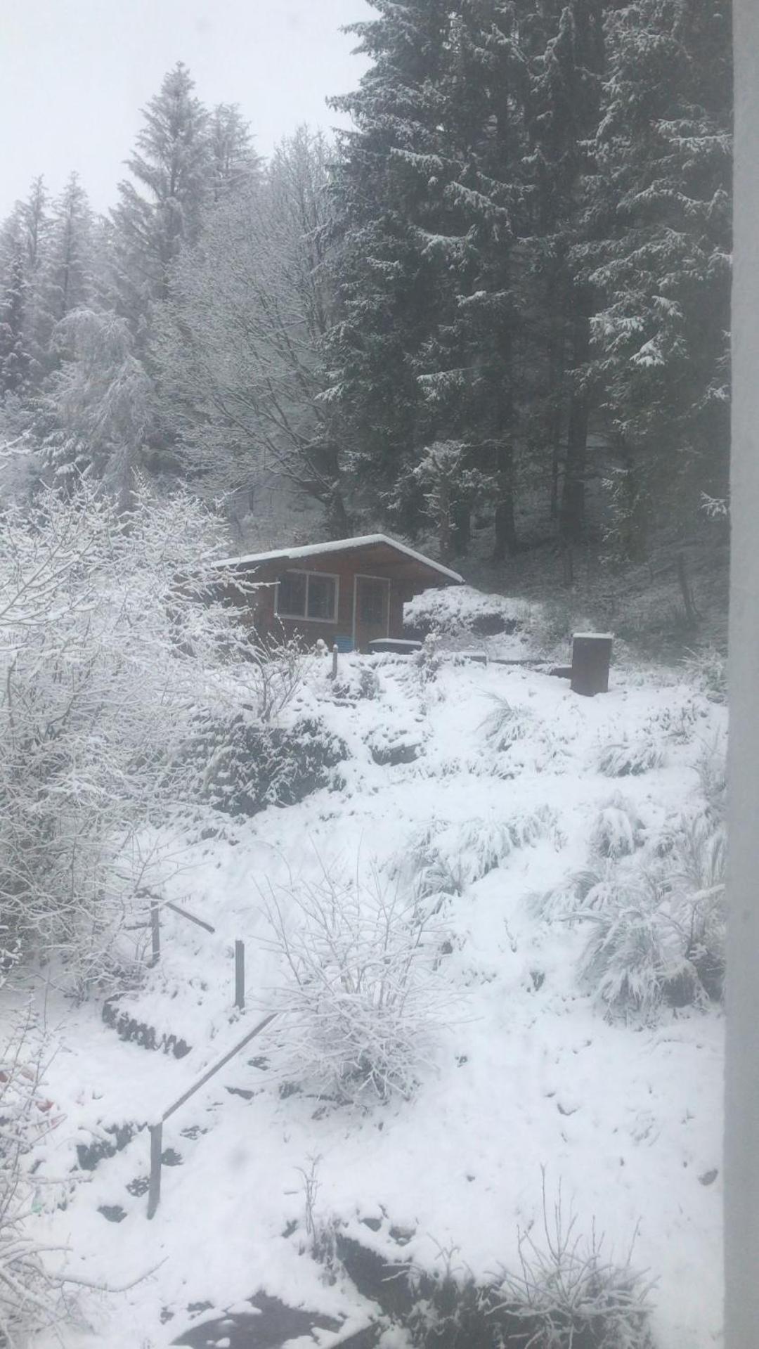 Fewo Pacohaus Naehe Willingen Diemelsee Брилон Екстериор снимка